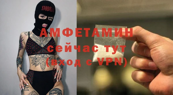 сатива Алзамай