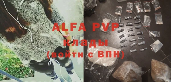 сатива Алзамай
